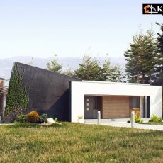 House project Hibiscus