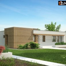 House project Euphoria