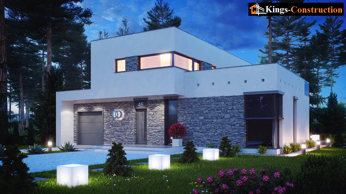 House project Erigeron