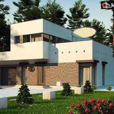 House project lily flower
