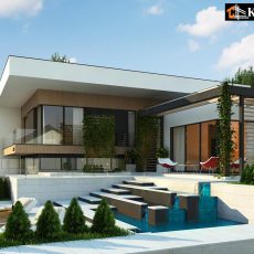 House project Boltonia