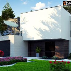 House project CAnemone