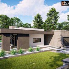 House project Aster