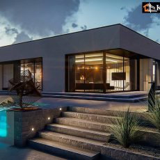 House project Angelonia