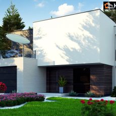 House project Anemone