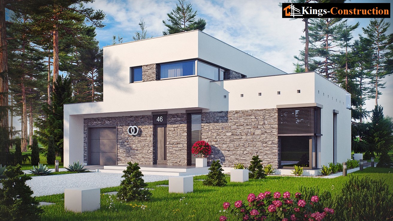 House project Erigeron - Image 2