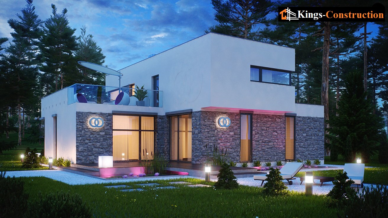 House project Erigeron - Image 3